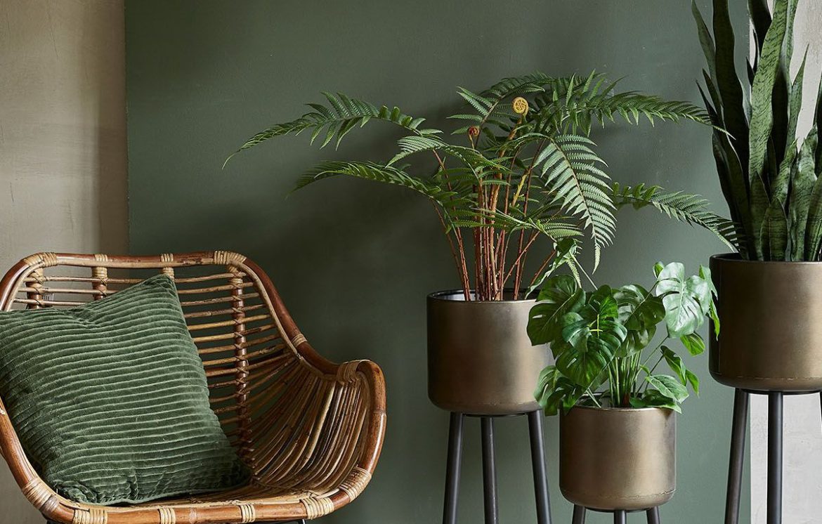 Hodowla kwiatów a wybór doniczek